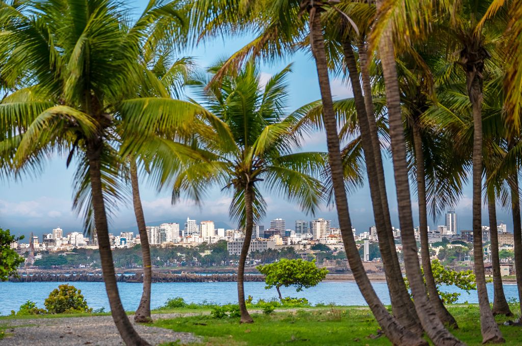 VENTAJAS DE INVERTIR EN BIENES RACES EN REPBLICA DOMINICANA EN 2024